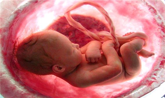 آیا جنین در شکم مادر می‌تواند چیزی ببیند؟