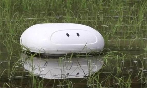 رباتی برای پاکسازی مزارع برنج