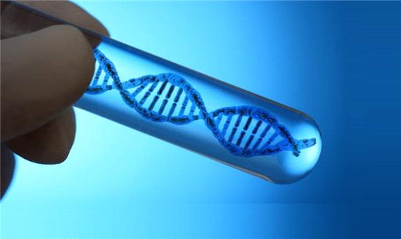 ساخت ژنوم مصنوعی که خود را تکثیر می‌کند