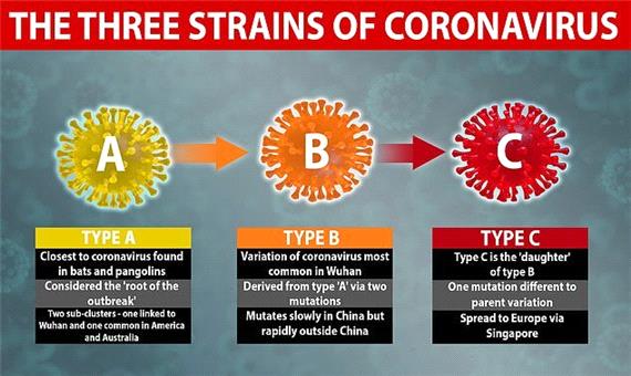 شناسایی 3 گونه‌ مختلف ویروس کرونا توسط محققان دانشگاه کمبریج