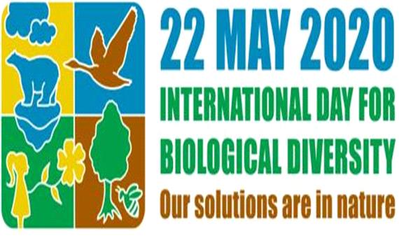 پیام معاون سازمان حفاظت محیط زیست به مناسبت روز جهانی تنوع زیستی