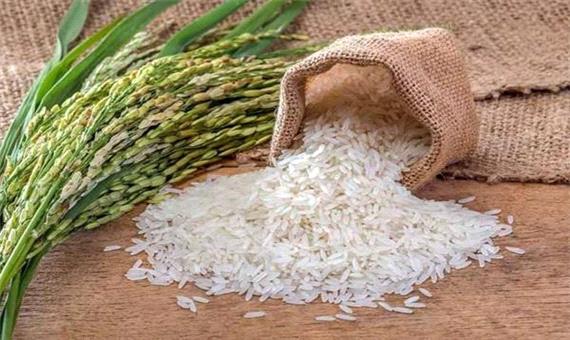 قیمت  برنج  در  بازار  80  درصد  افزایش  یافت