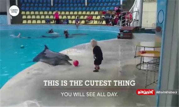 توپ بازی کودک و دلفین بامزه
