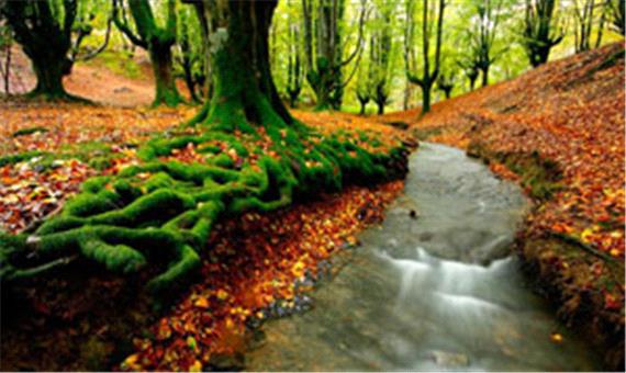 اسرارآمیزترین پارک طبیعی اسپانیا