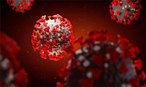 کشف یک اسید چرب مهم در دل کروناویروس!