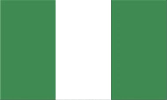 کشته شدن 15 تن در حمله داعش در نیجریه