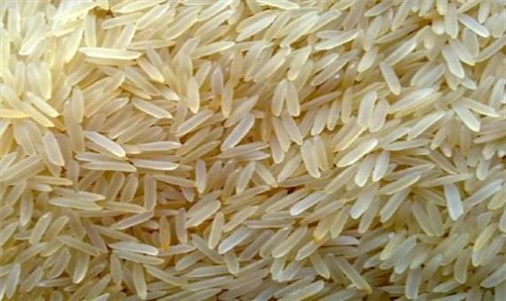 رقیب  برنج  هندی  وارد  بازار ایران  شد