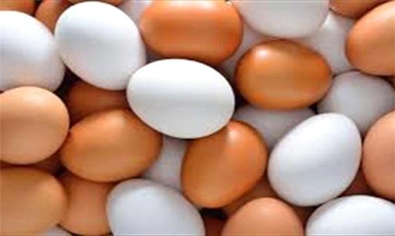 قیمت  هر شانه  تخم‌ مرغ  حداکثر 31  هزار تومان  تعیین  شد