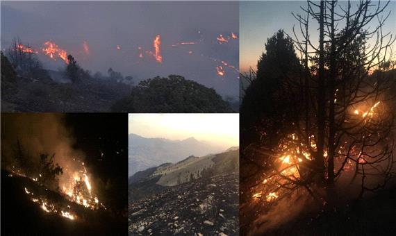 آتش سوزی در1273 هکتار ازاراضی مناطق تحت مدیریت حفاظت محیط زیست استان قزوین