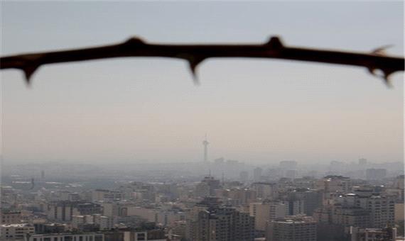 مدیر کل محیط زیست و توسعه پایدار شهرداری تهران: برنامه جامع کاهش آلودگی هوا دست و پا شکسته اجرا شده است