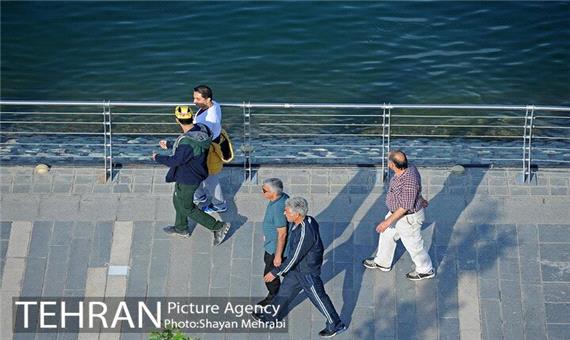 پیاده مداری در ایران به عنوان یک شیوه حمل و نقل به رسمیت شناخته نمی‌شود