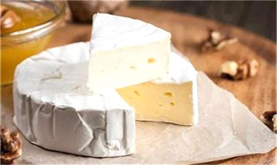 دانشمندان علت بوی نامطبوع پنیر را کشف کردند
