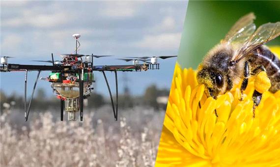 زنبور عسل، معلم جدید پرواز برای پهپادها