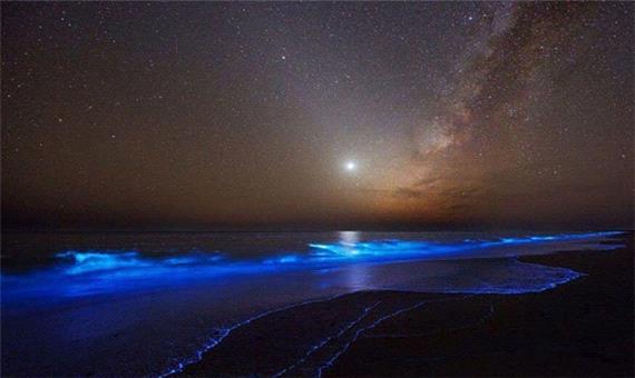 دریای ستاره ها، امواج نورانی و سواحل درخشان در دنیا!