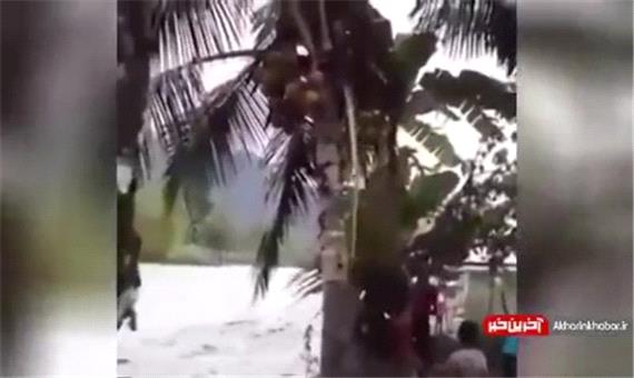 سقوط هولناک مرد به داخل سیلاب در حاشیه رودخانه