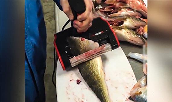 وسیله‌ای جالب برای جدا کردن پوست ماهی در چند ثانیه!