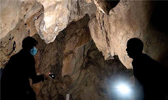 نقاشی 45 هزار ساله؛ قدیمی‌ترین غارنگاره جهان در اندونزی