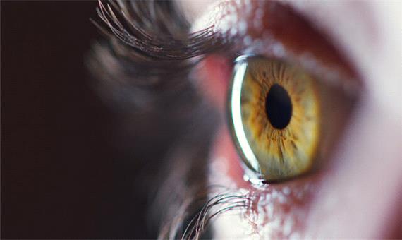 استفاده از سلول‌های بنیادی جسد برای درمان نابینایی