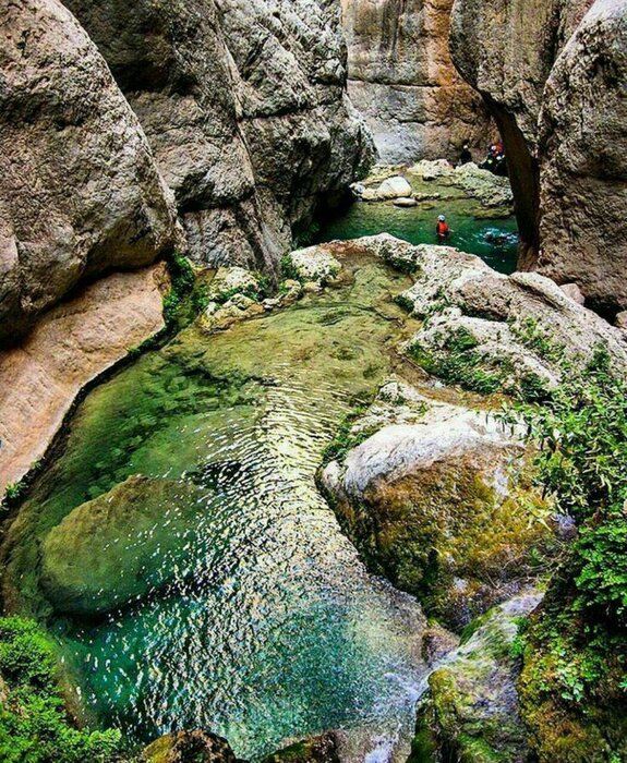 ایران پرسمان