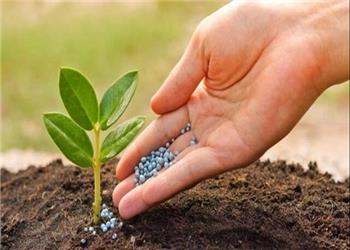 تولید کود بیولوژیک برای رشد گیاه در شرایط خشکسالی از سوی دانش‌بنیان‌ها