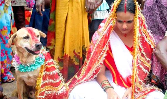 ازدواج با سگ برای فرار از بد یمنی!