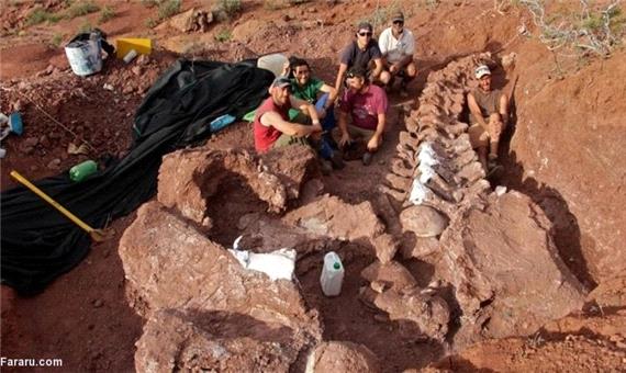 کشف بقایای بزرگترین دایناسور روی زمین