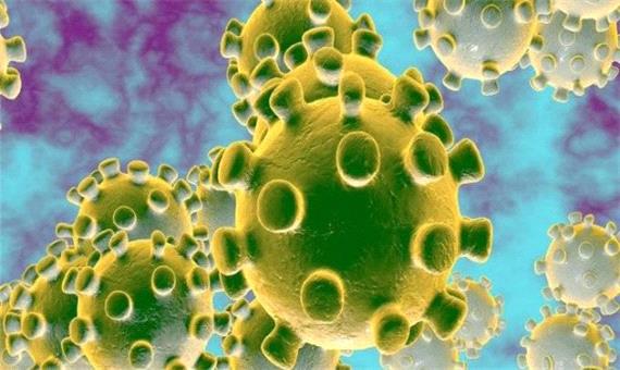 آیا احتمال ابتلای دوباره به ویروس کرونا وجود دارد؟