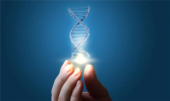 محققان 64 ژنوم کامل انسان را به منظور درک بهتر تنوع ژنتیکی توالی‌یابی کردند