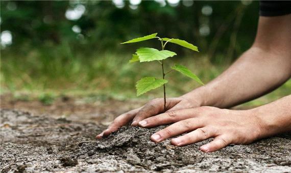تقویم تاریخ/ روز درختکاری و آغاز هفته منابع طبیعی تجدید شونده