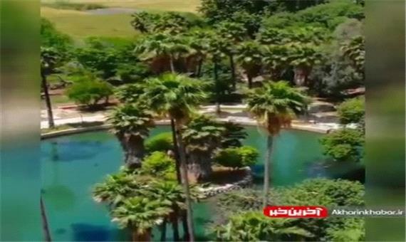 باغ چشمه بلقیس در کهکیلویه و بویراحمد