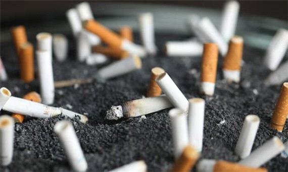 نیوزیلند دخانیات را ممنوع می کند