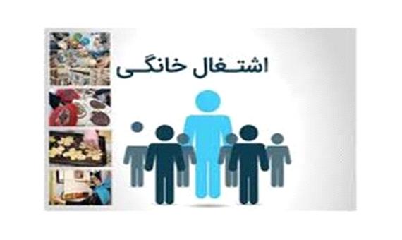 پرداخت 83 هزار میلیون ریال تسهیلات به صاحبان مشاغل خانگی استان همدان