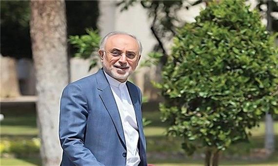 واکنش صالحی به خبرهای مربوط به کاندیداتوری برای انتخابات