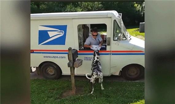 ماجرای عجیب یک سگ با پیشنهاد کار از اداره پست آمریکا!