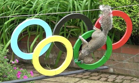 رقابت تماشایی سنجاب‌ها در المپیک توکیو 2020