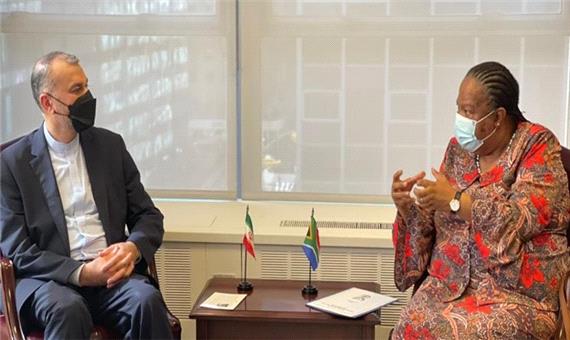 جزئیات دیدار امیرعبداللهیان با وزیرخارجه آفریقای جنوبی