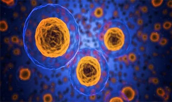 تولید آنزیم‌هایی برای بررسی فرآیند مرگ سلولی