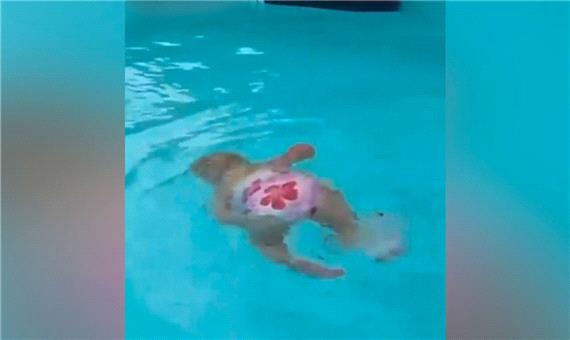 شنای حرفه‌ای یک کودک 16 ماهه!