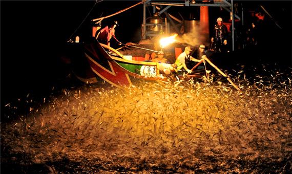 ماهیگیری با آتش در تایوان!