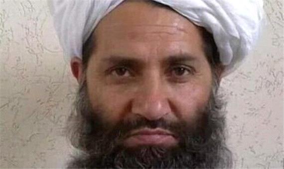 راز غیبت بدون دلیل سرکرده طالبان و ملا برادر