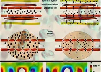 در نظر گرفتن رفتار رئولوژیکی خون برای ارزیابی آسیب به سلولهای رگ