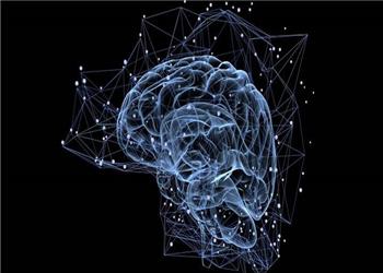 مداری پنهان در مغز دید بصری ما را بازنویسی میکند