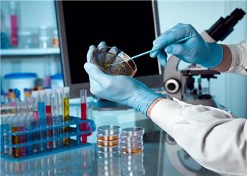 رصد جهش ژنتیکی در فرزندان پاکسازیکنندگان حادثه چرنوبیل