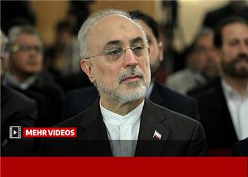 صالحی: یکی از ماموریتهای جایزه مصطفی کشف دانشمندان جهان اسلام است