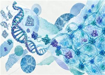 حرکت از مقیاس نانو به شبکههای هوشمند با هیدروژلهای DNA–پروتئین