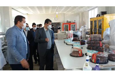 ​میرزایی در گلستان تاکید کرد: استفاده از ظرفیت های بخش خصوصی در طرح های اشتغالزایی روستایی