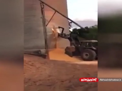 لحظه ریزش سیلو ذخیره ذرت