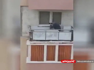 قوی ترین خبرگزاری در سطح کشور