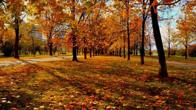 ایران پرسمان