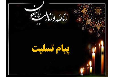 پیام تسلیت شریعتمداری به سید حسن فیروزآبادی